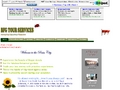 Bogor Free Guide