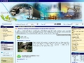 Indonesia Economic Development Zone